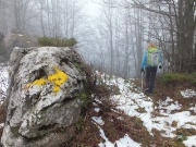 26 seguendo frecce e bolli gialli...